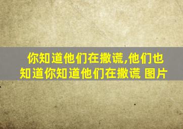 你知道他们在撒谎,他们也知道你知道他们在撒谎 图片